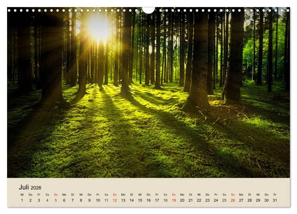 Bild: 9783457937181 | Der Wald. Durch zauberhafte Waldlandschaften (Wandkalender 2026 DIN...